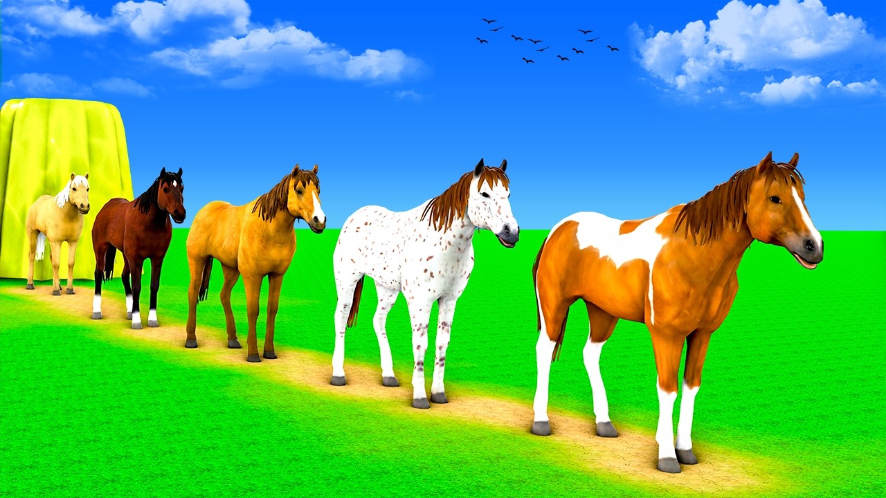 Long Slide Game with Buffalo Tiger Bear Horse Zebra 3d Animal Game Funny 3d Animals