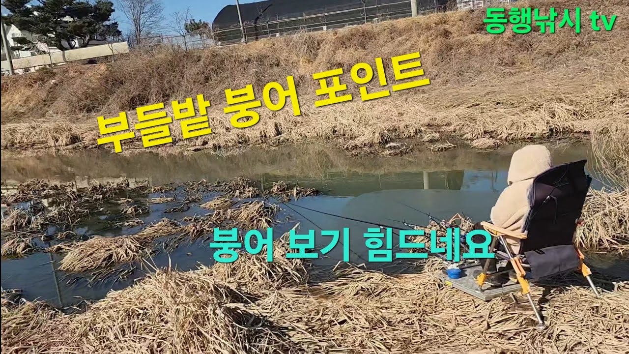 까칠한 붕어 입질에 집중 하세요~~            #붕어낚시 #수초낚시 #탐색낚시 #fishing  