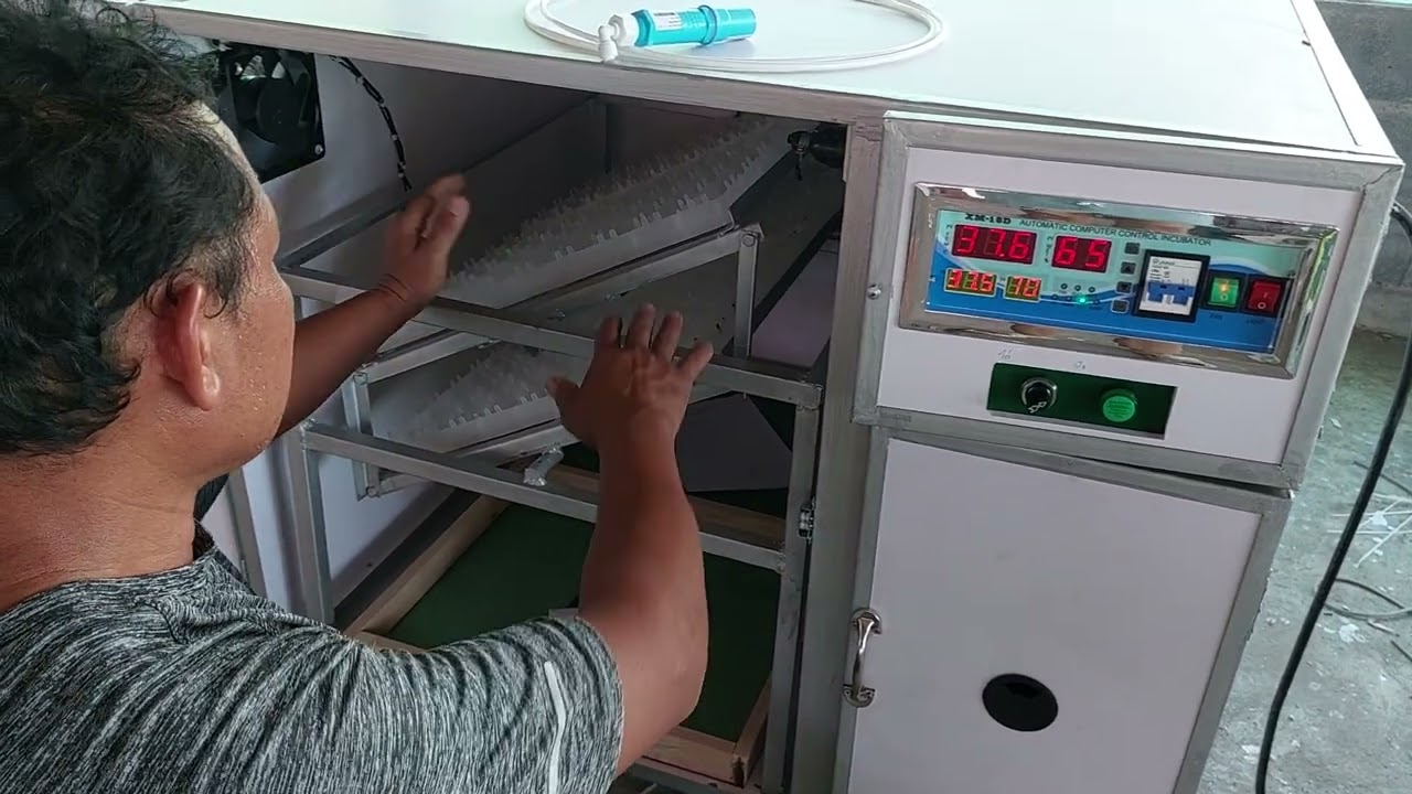 ตู้ฟักเป็ดและไก่ 2ระบบ ส่งสุราชธานี