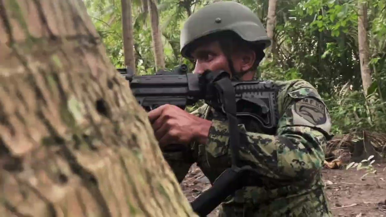 SIMEX on CTG Harassment of Fixed Checkpoint | 901st Maneuver Company