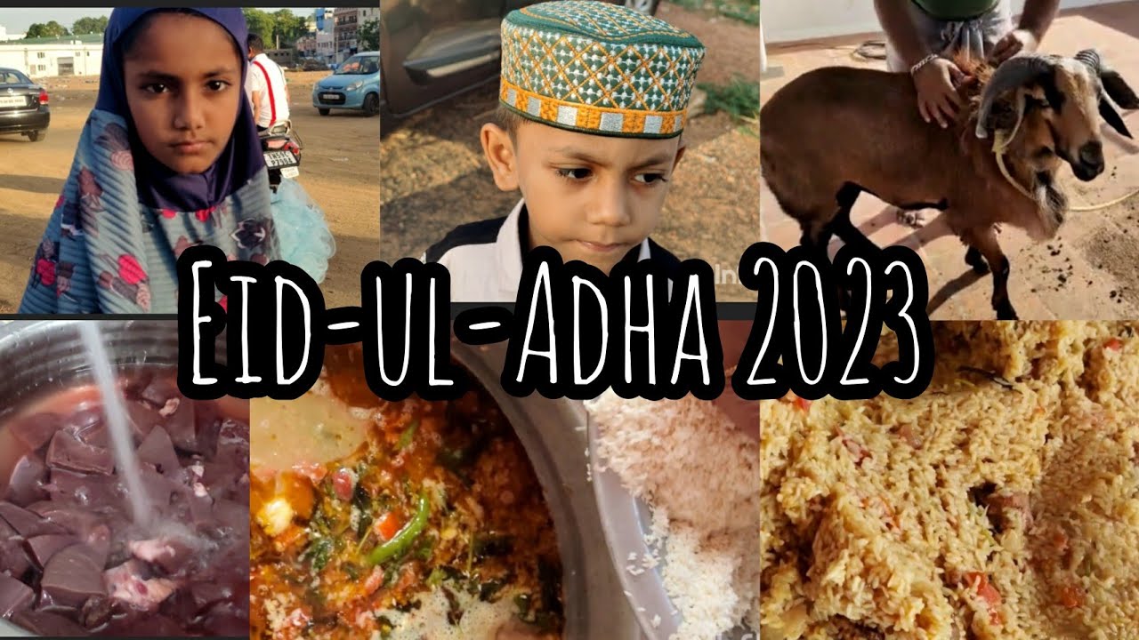 Eid-ul-Adha 2023 Mubarak / Eid Vlog / Briyani recipe in Tamil /Bakrid