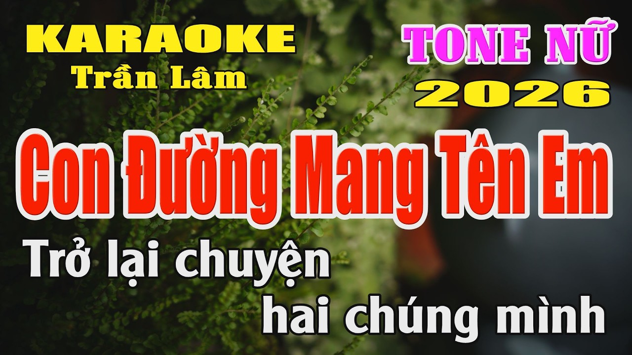 Karaoke Con Đường Mang Tên Em Tone Nữ ( Si giáng thứ ) Karaoke Trần Lâm