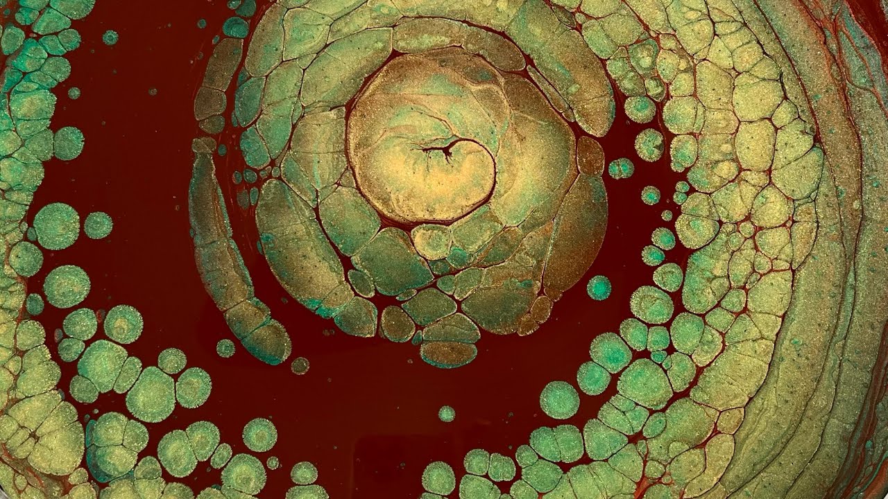(462) DRAGON Nautilus Spiral Spinning Straight Pour - Boulder Cells -  Fluid Acrylic Paint Pouring