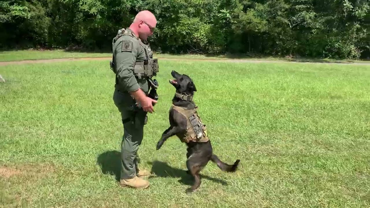 National K9 day with Cool Beans and Sgt. Leggett
