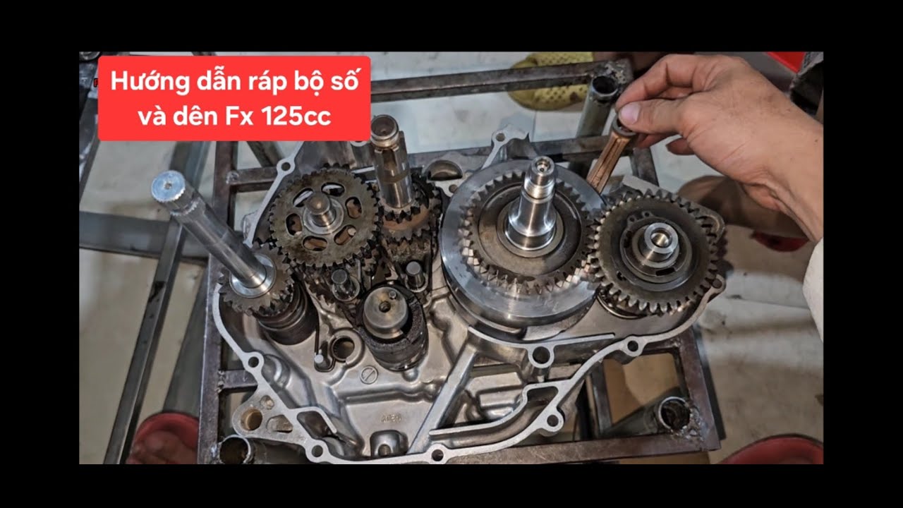 612/ Hướng dẫn ráp bộ số và dên Suzuki Fx 125cc/ Phố Cái Dầu AG