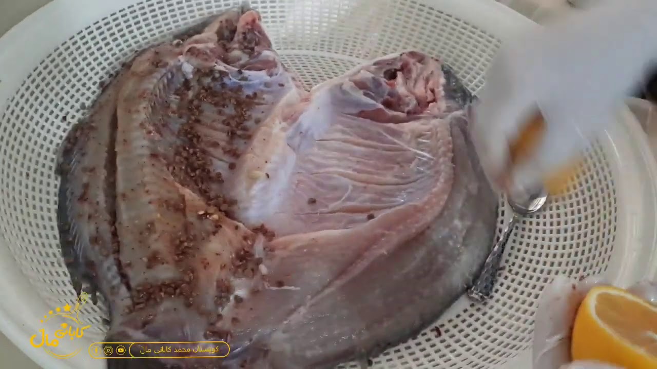 خۆشەکردنی ماسی بەلیمۆترشی سماق بیبەری تون برژان بەفڕن