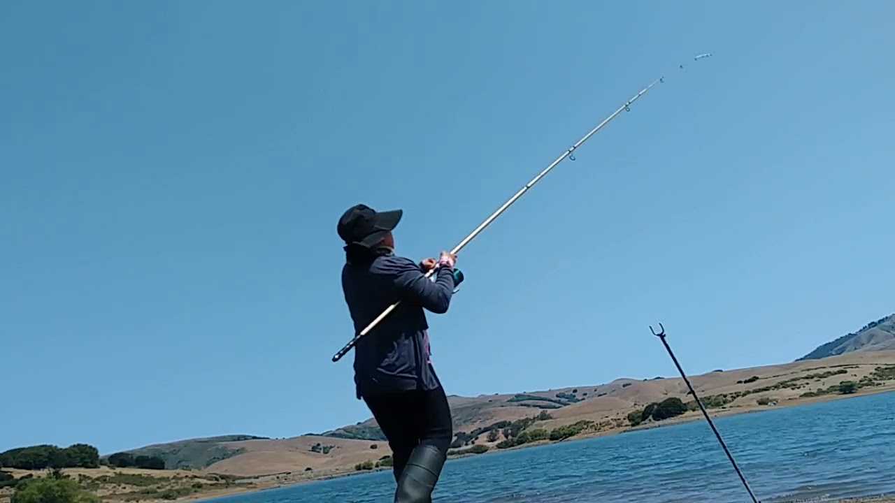 Favorite rod 