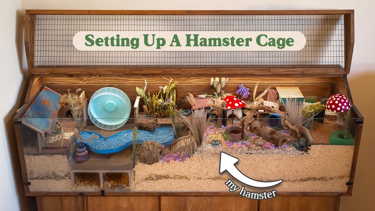 Set Up Another Hamster Cage With Me | Lotus' Woodland Garden