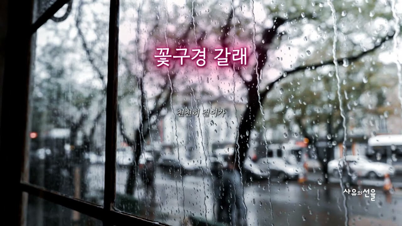 [ K-POP ] 꽃구경 갈래ㅣ 감성발라드ㅣ봄이온다ㅣ남과여ㅣ설렘주의보ㅣ