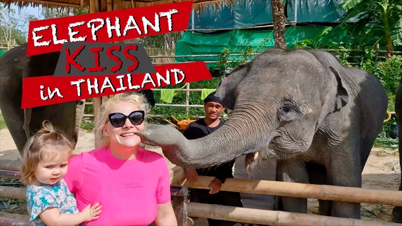 Luna and the ELEPHANTS - Elephant Care Centre Phuket