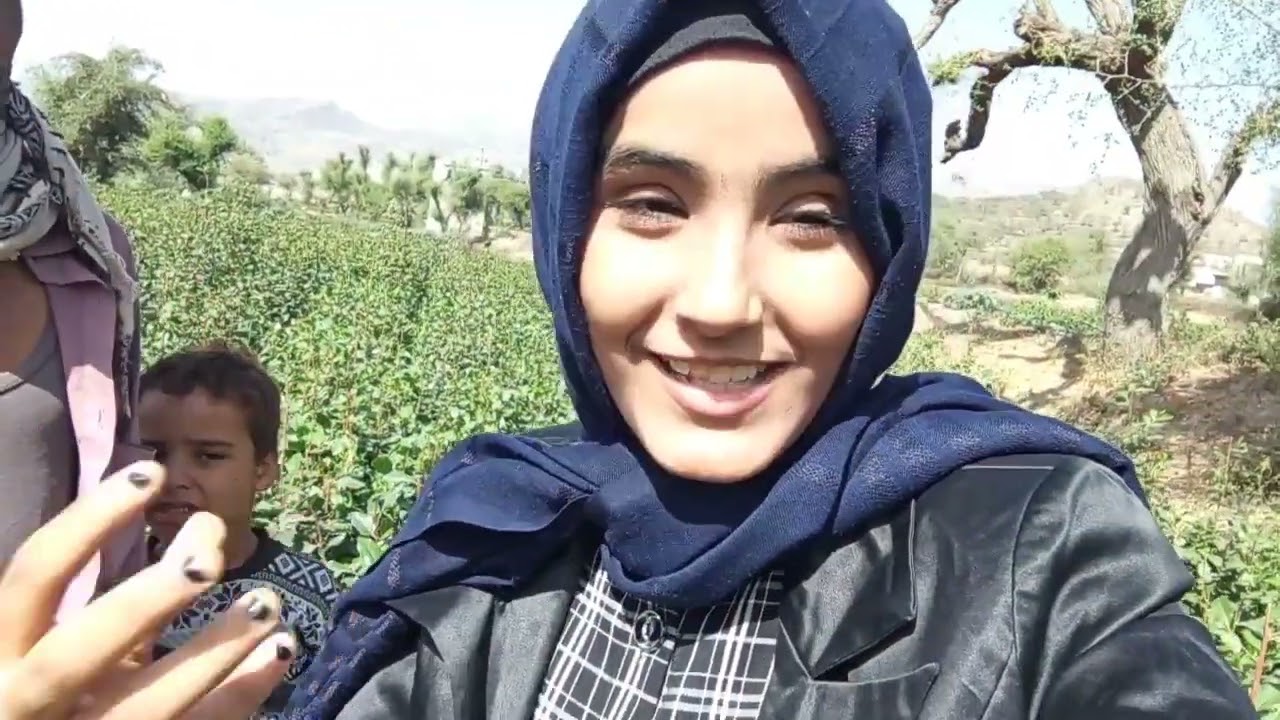 كيف يزرع القات في اليمن