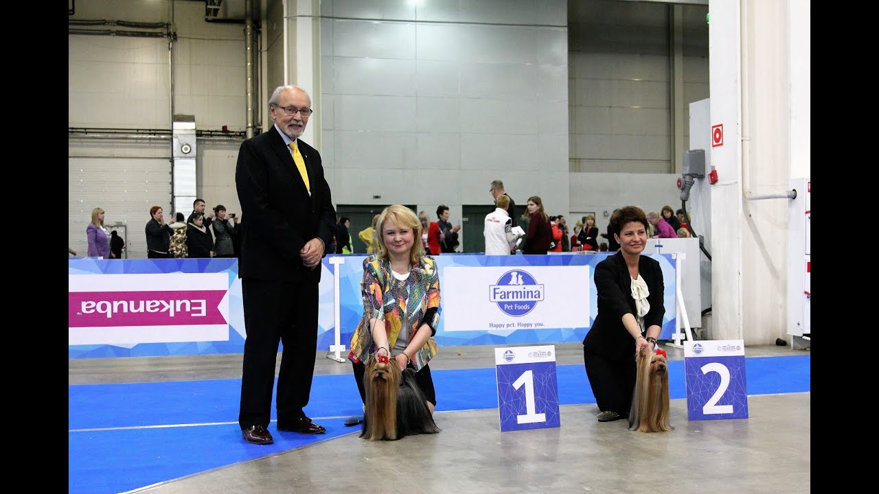 International Dog Show 