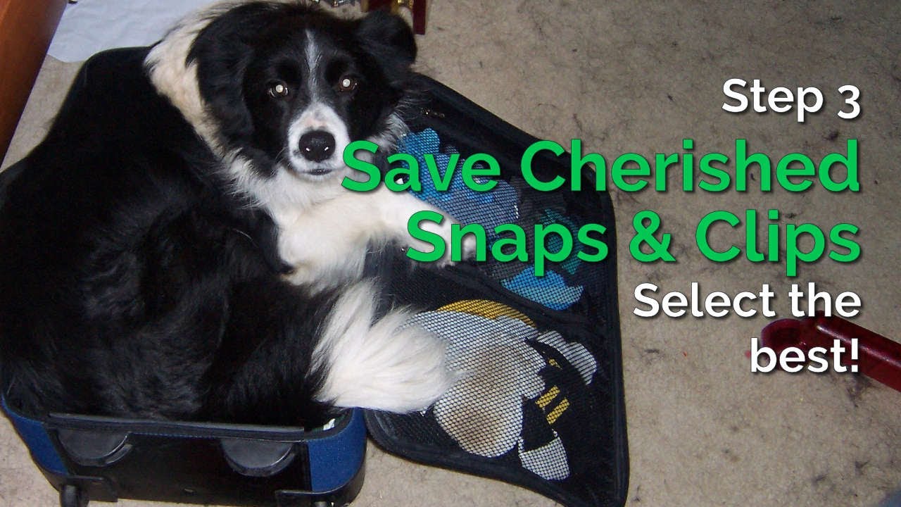 Step 3: Pet Pawprints & Moments | My LifeJars