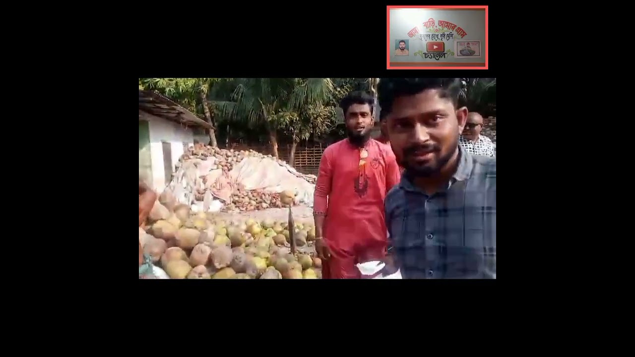 নারকেল একটি বেহেস্তি ফল এর কিছুই ফেলনা যায় না, ছোবা নারকেল মালা তৈল সবই মানুষের ব্যবহারের উপযোগ 