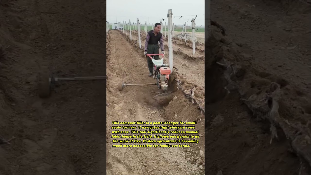 Revolutionizing Ancient Soil with Modern Micro Power