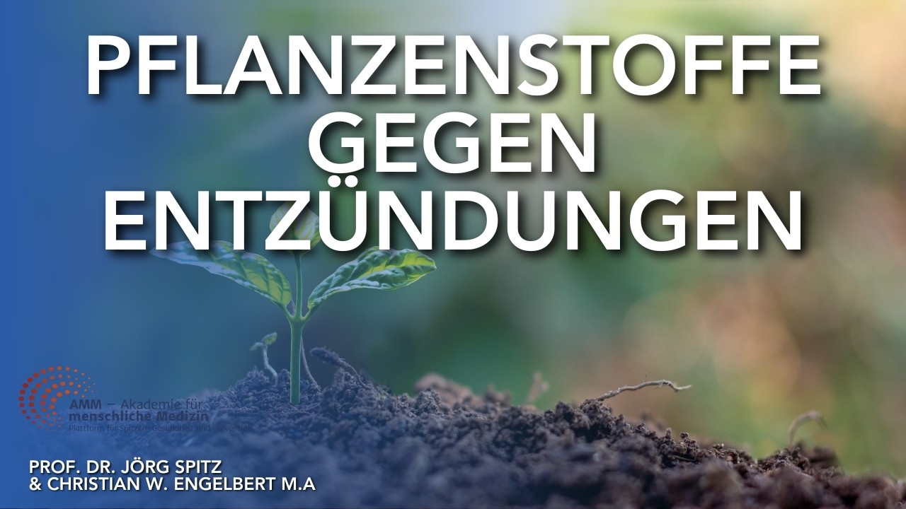 Warum „stille Entzündungen“ gefährlicher sind als gedacht – und warum Pflanzenstoffe helfen können