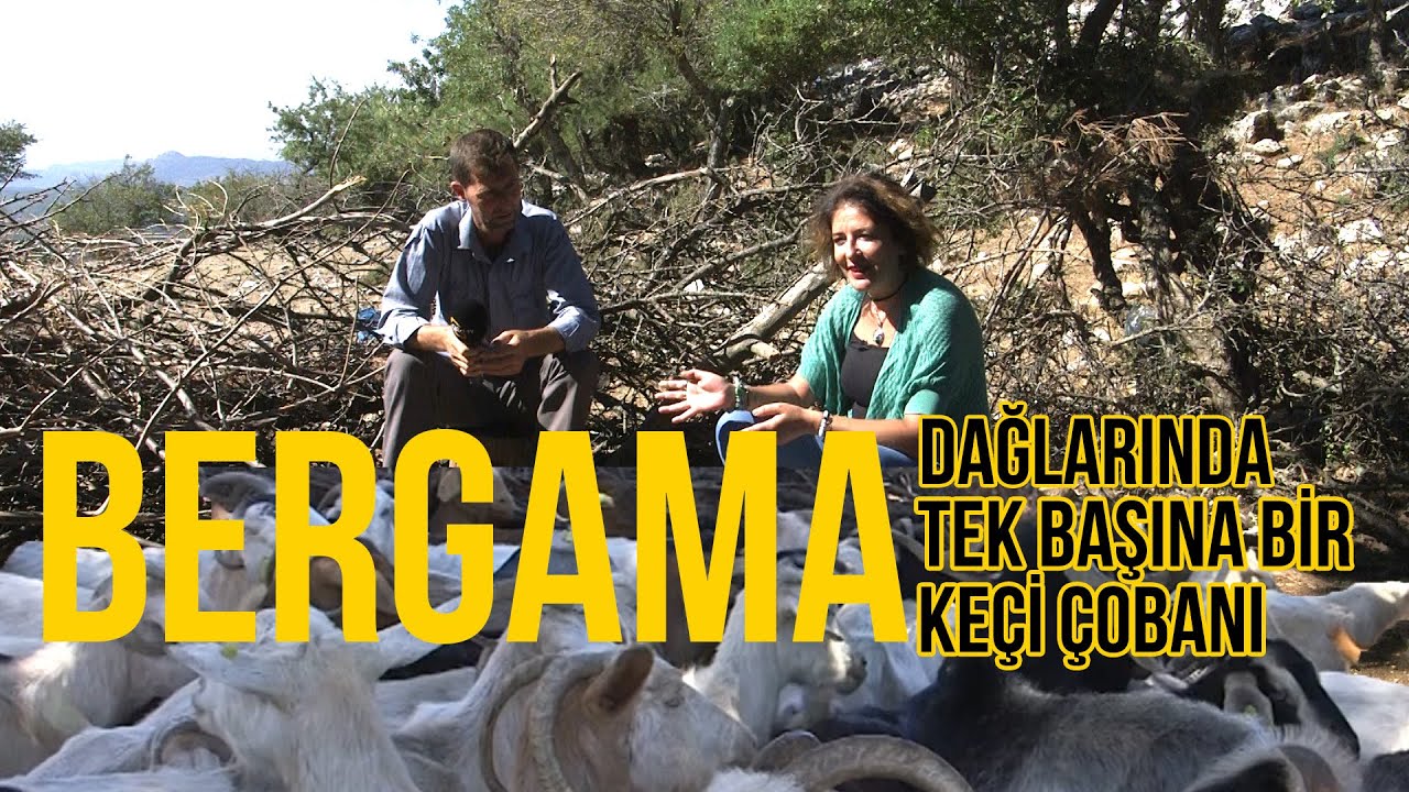 İzmir Bergama Dağlarında Tek Başına Keçi Çobanlığı Yapan Şükrü Uyar'a Konuk Olduk - İşimiz Keçi