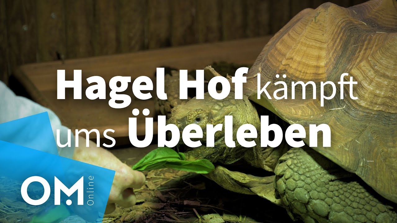 Sorgen um Energiepreise belasten auch den Hagel-Hof