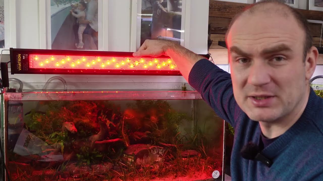 Lampa dla takich akwarystów jak ja. Sincor Vivatron. 