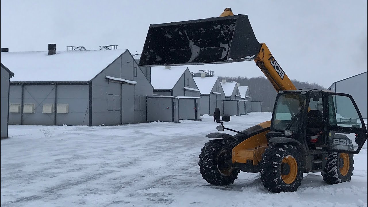 Odśnieżanie placu na fermie - JCB 531-70 AGRI - AV#57