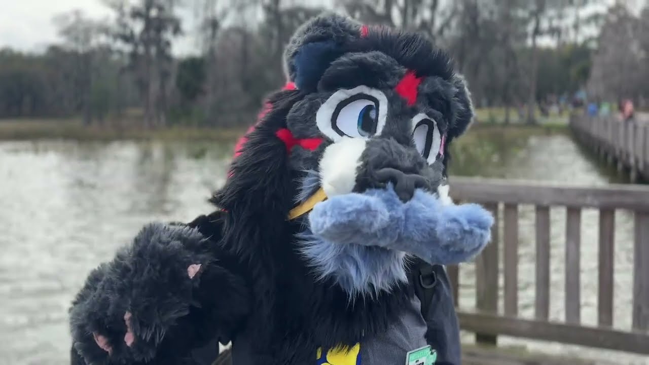 Megaplex Picnic 2026