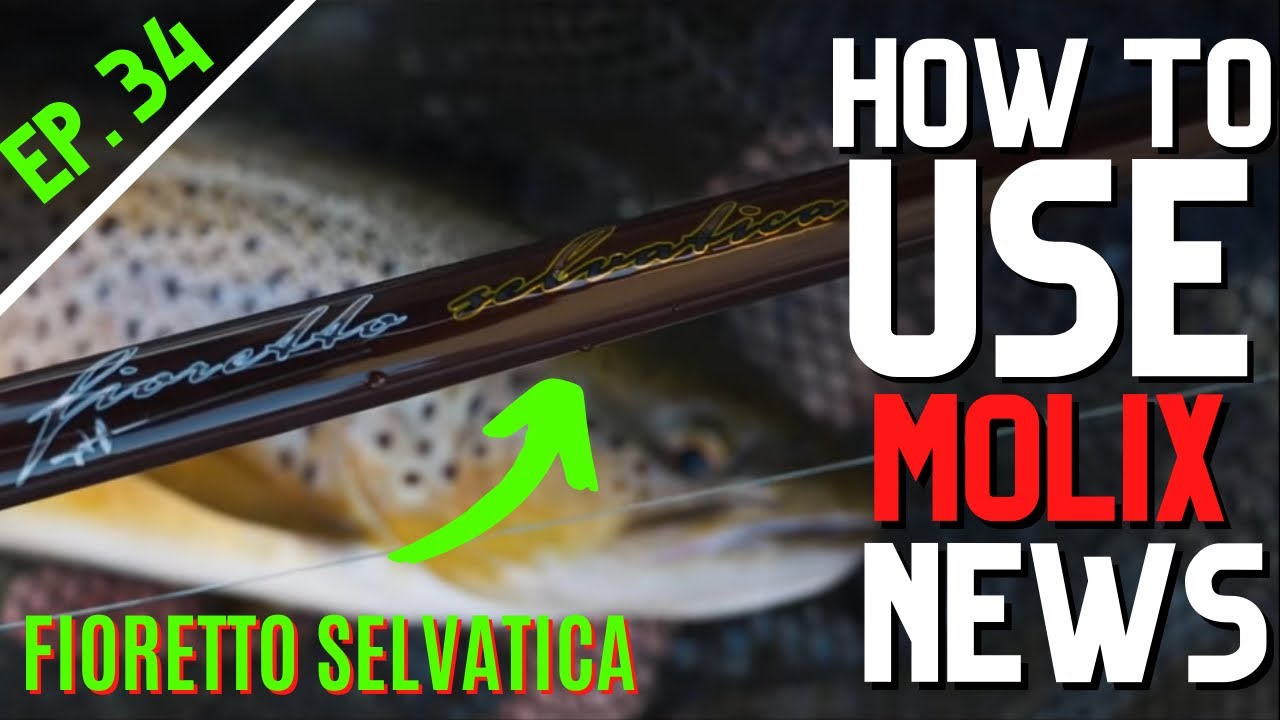 HOW TO USE | MOLIX NEWS - EP.34 | FIORETTO SELVATICA