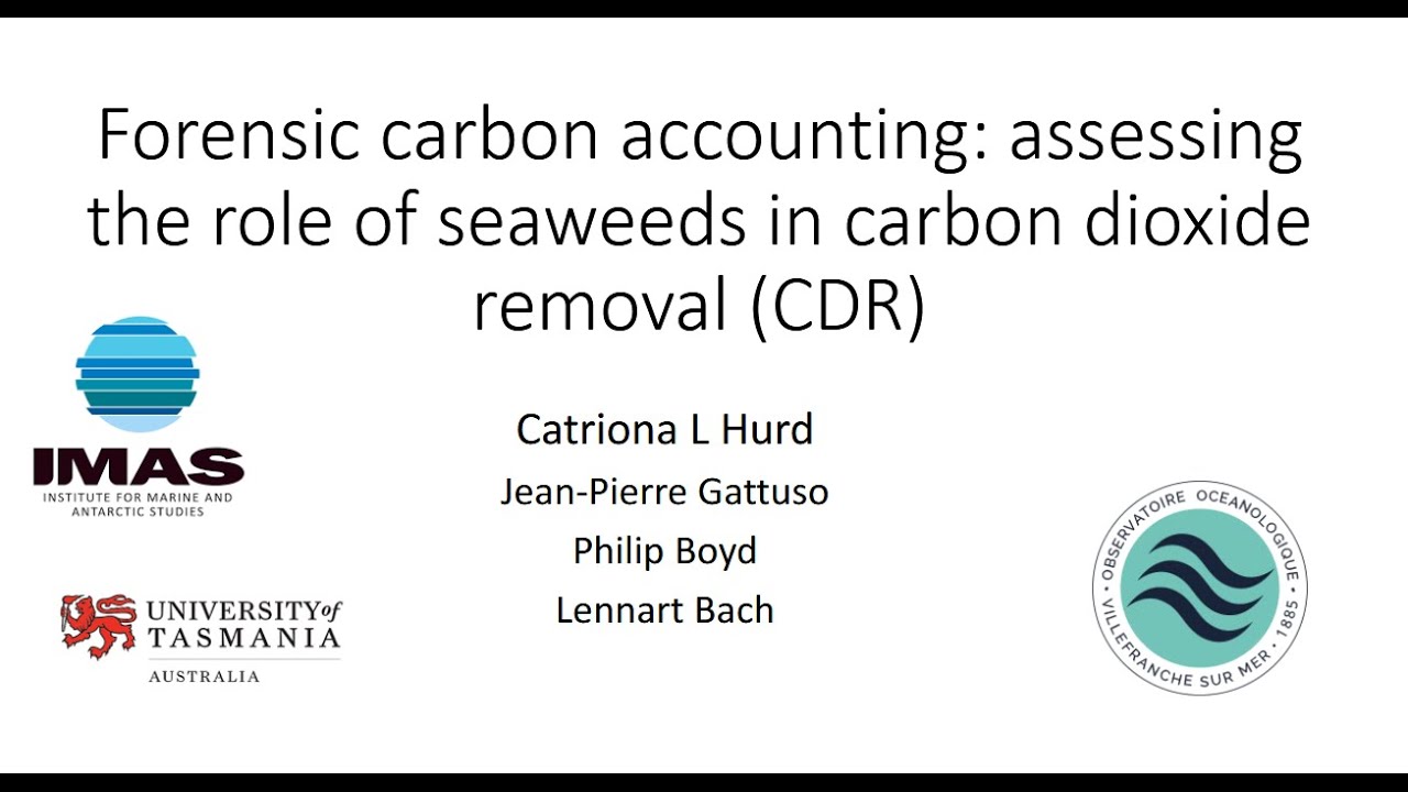 Forensic Carbon Accounting: Assessing the Role of Seaweeds in Atmospheric Carbon Dioxide Removal