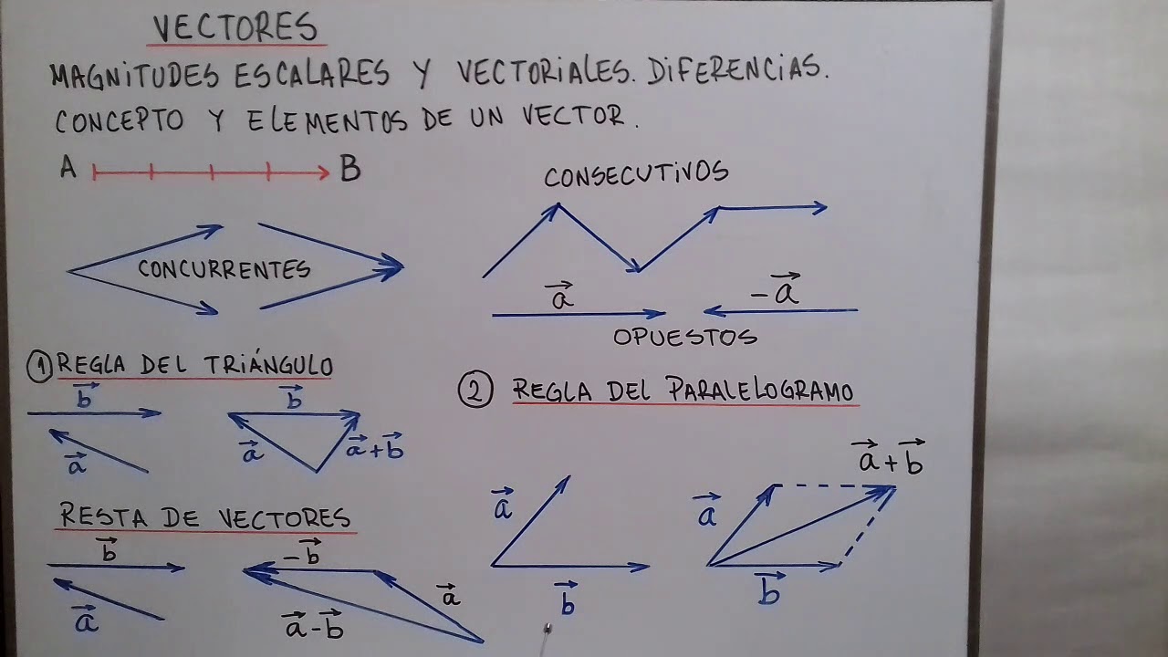 Vectores
