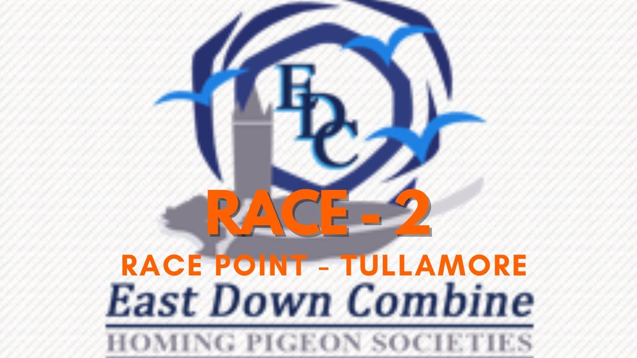 Race 2 - Tullamore