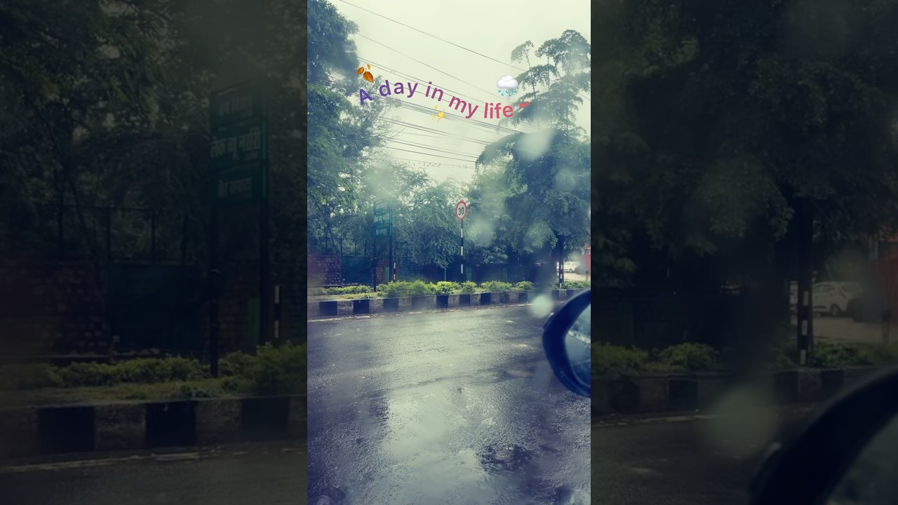 Day 4/30 🌧️🌿..! Rainy season&hellip; !!!! #monsoon #rainyseasonvibes