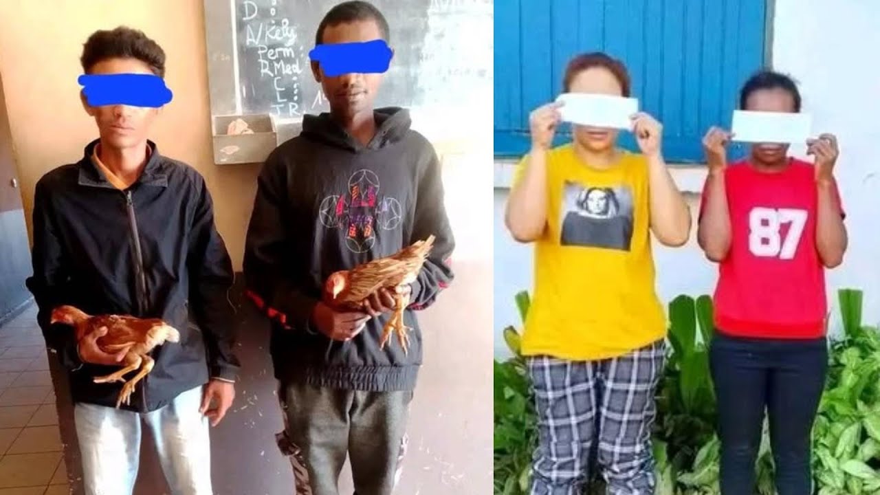 MANDRAHONA HAMONO NY FIANAKAVIM BADINY ILAY TOVOLAHY NANDORO VELONA NY VADINY
