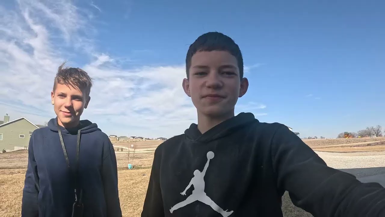 Мы выгуливаем собак