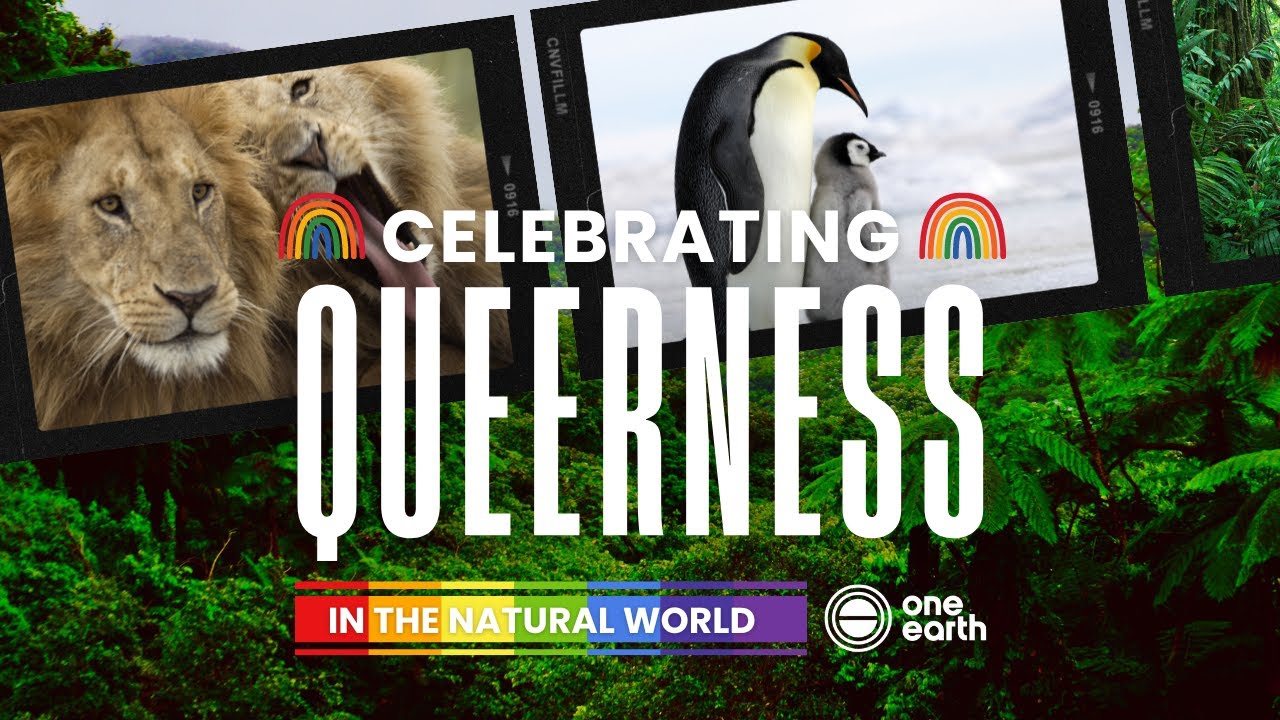 One Earth | Celebrating Queerness and Diversity in the Natural World