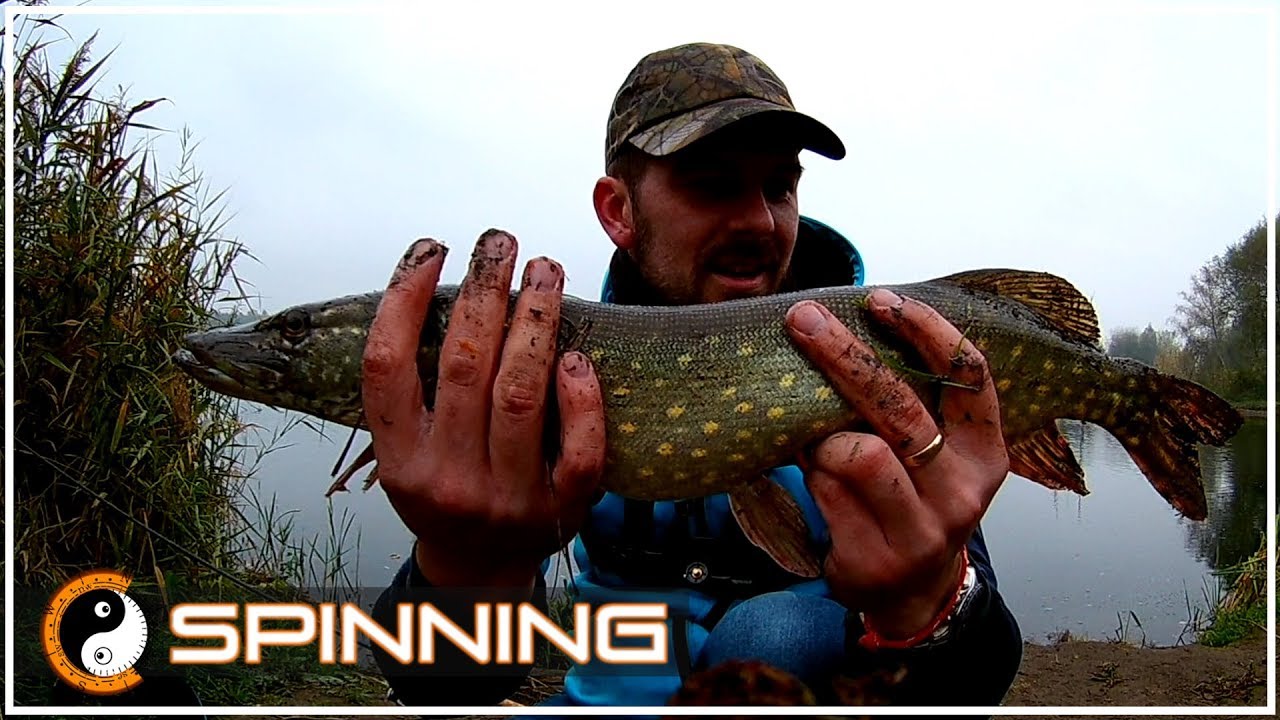 Mój pierwszy spinning. Szczupak na Gumową Rybkę Savage Gear Cannibal 10cm. Wędkarstwo Spinningowe