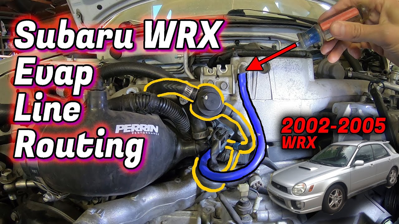 Прокладка шлангов электромагнитного клапана и клапана продувки испарителя WRX 2004 года