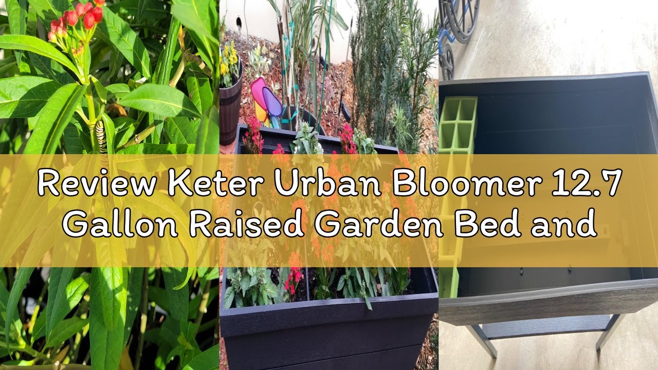 Review Keter Urban Bloomer 12.7 Gallon Raised Garden Bed and Outdoor Herb Garden Planter with Self W