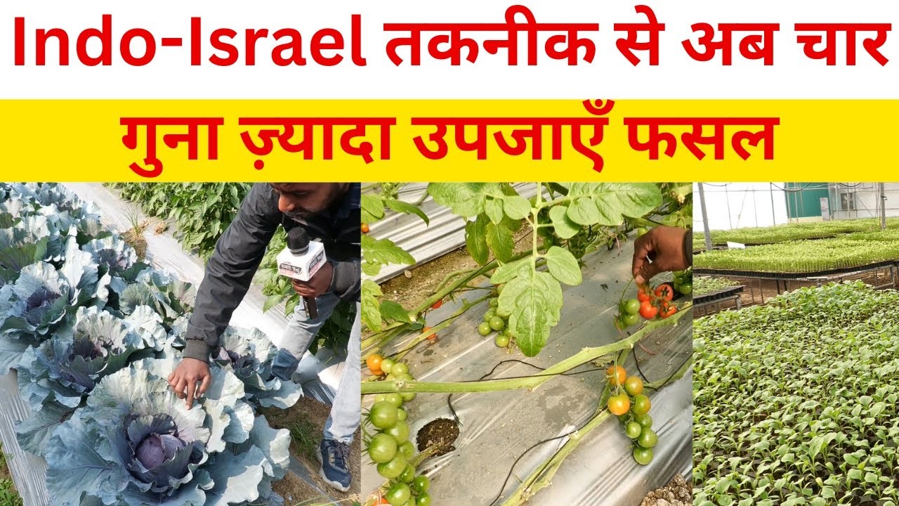 Bihar News: उच्च तकनीकी पौध निर्माण केंद्र | Center of Excellence, Indo-Israel Project | Nalanda