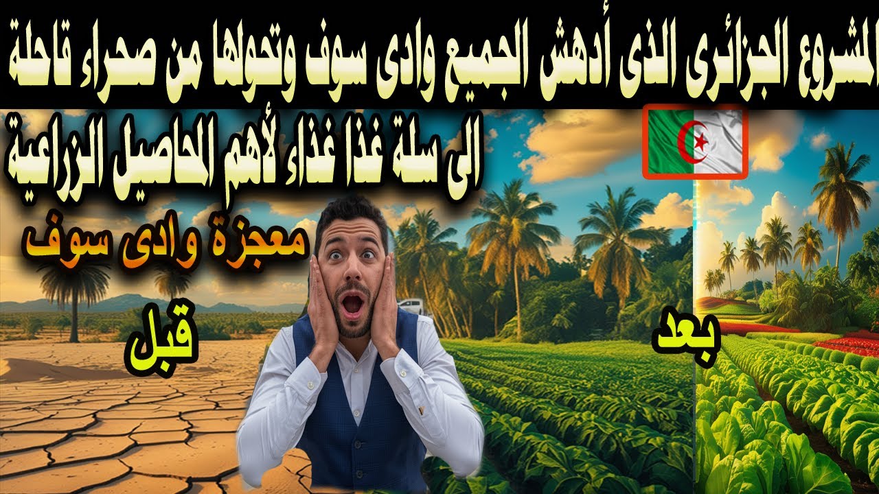 #شاهد المشروع الجزائرى الذى ادهش الجميع وادى سوف وتحولها من صحراء قاحلة الى سلة غذاء لاهم المحاصيل