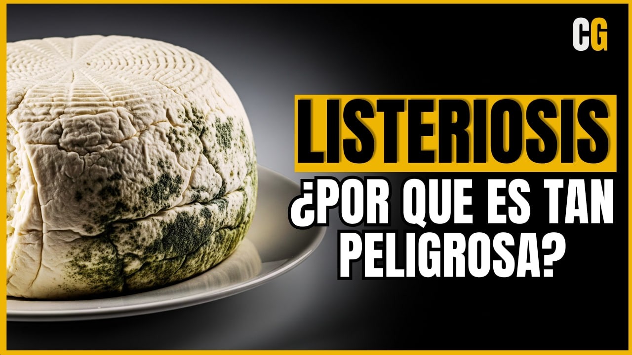 Listeria: En (Casi) toda tu comida - Listeriosis: Riesgos y su Relacion con el Embarazo
