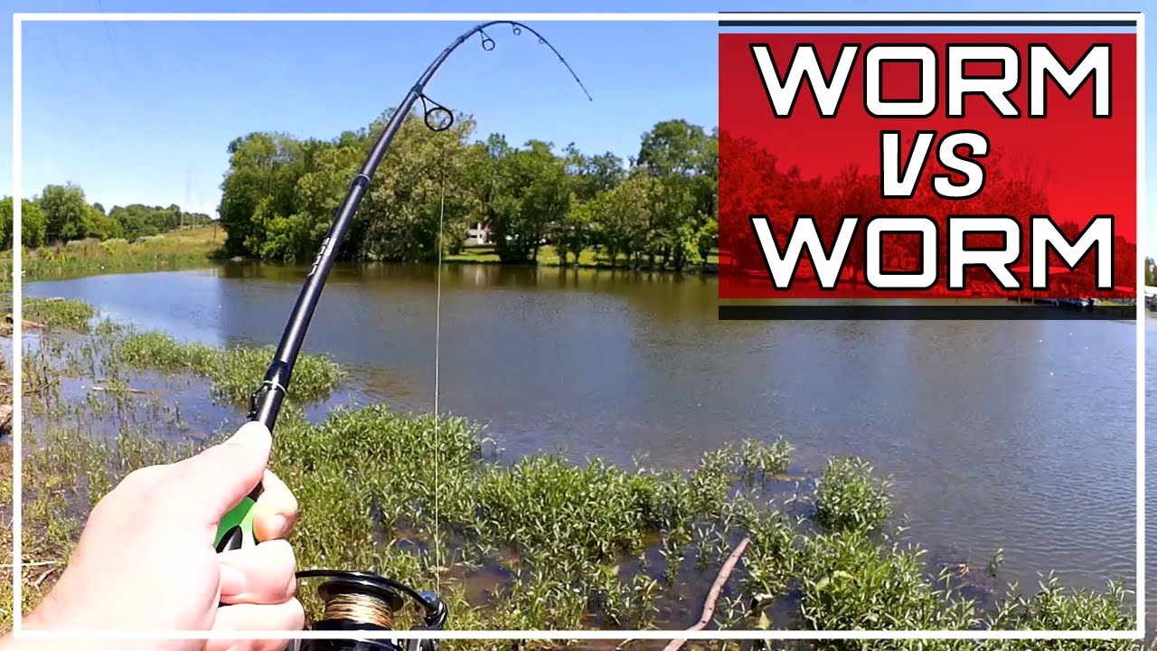 PowerBait MaxScent vs YUM Dinger - Surprise Catch While Bass Fishing