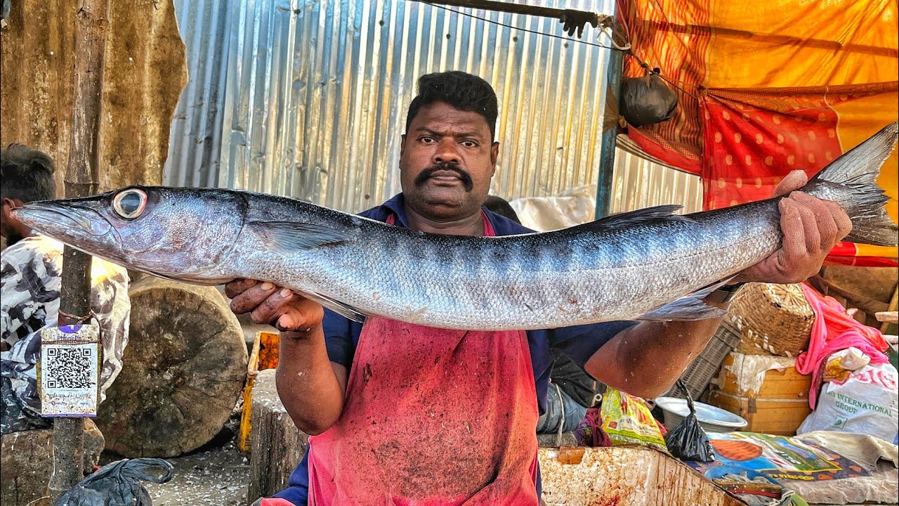 KASIMEDU 🔥 SPEED SELVAM | HUGE BARRACUDA FISH CUTTING VIDEO | 4K VIDEO | KM FISH CUTTING