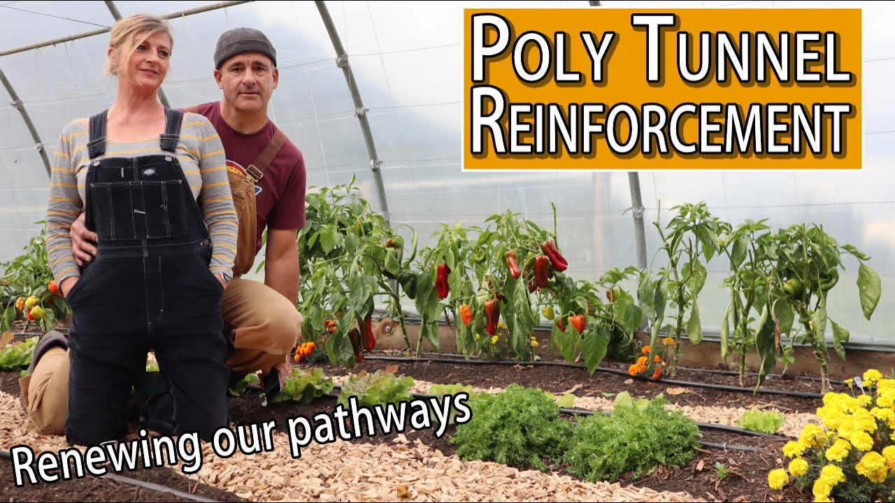 Reinforcing Poly Tunnel & New Paths | Winter Preperation