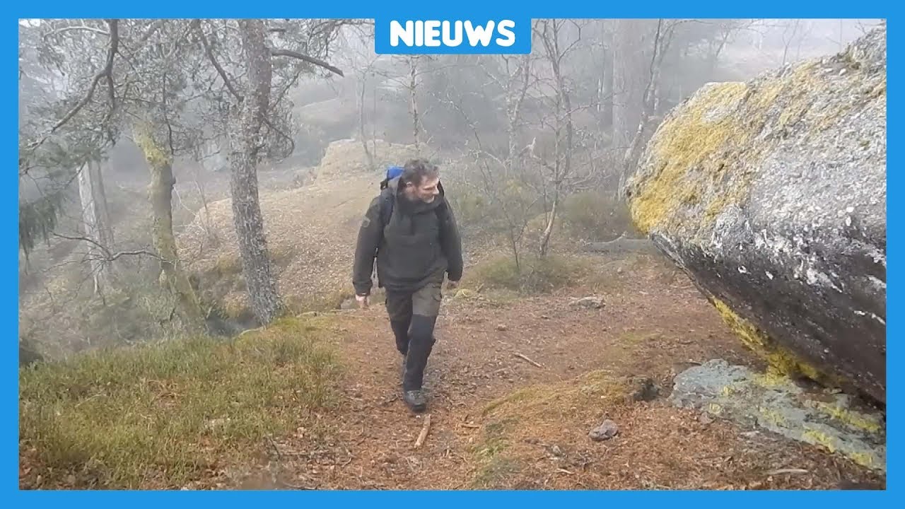 Politie krijgt meer dan 200 tips over zaak Nicky Verstappen