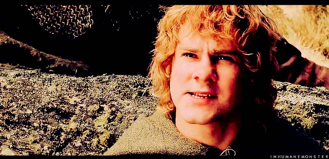 meriadoc brandybuck | to battle