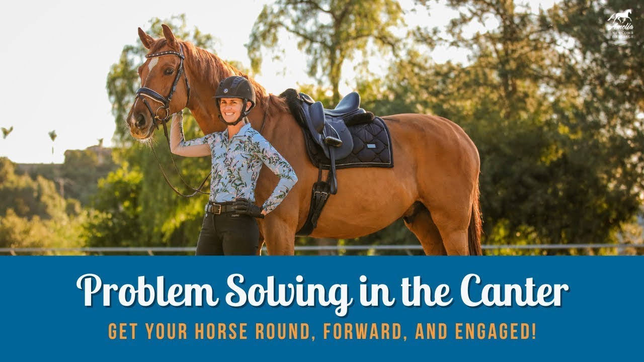 Three Common Canter Problems and Fixes