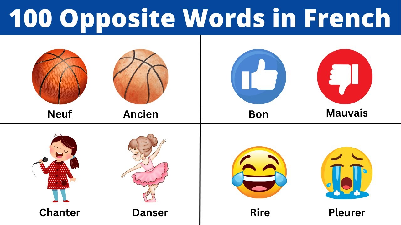 100 Opposite Words in French | Common Antonyms in French!