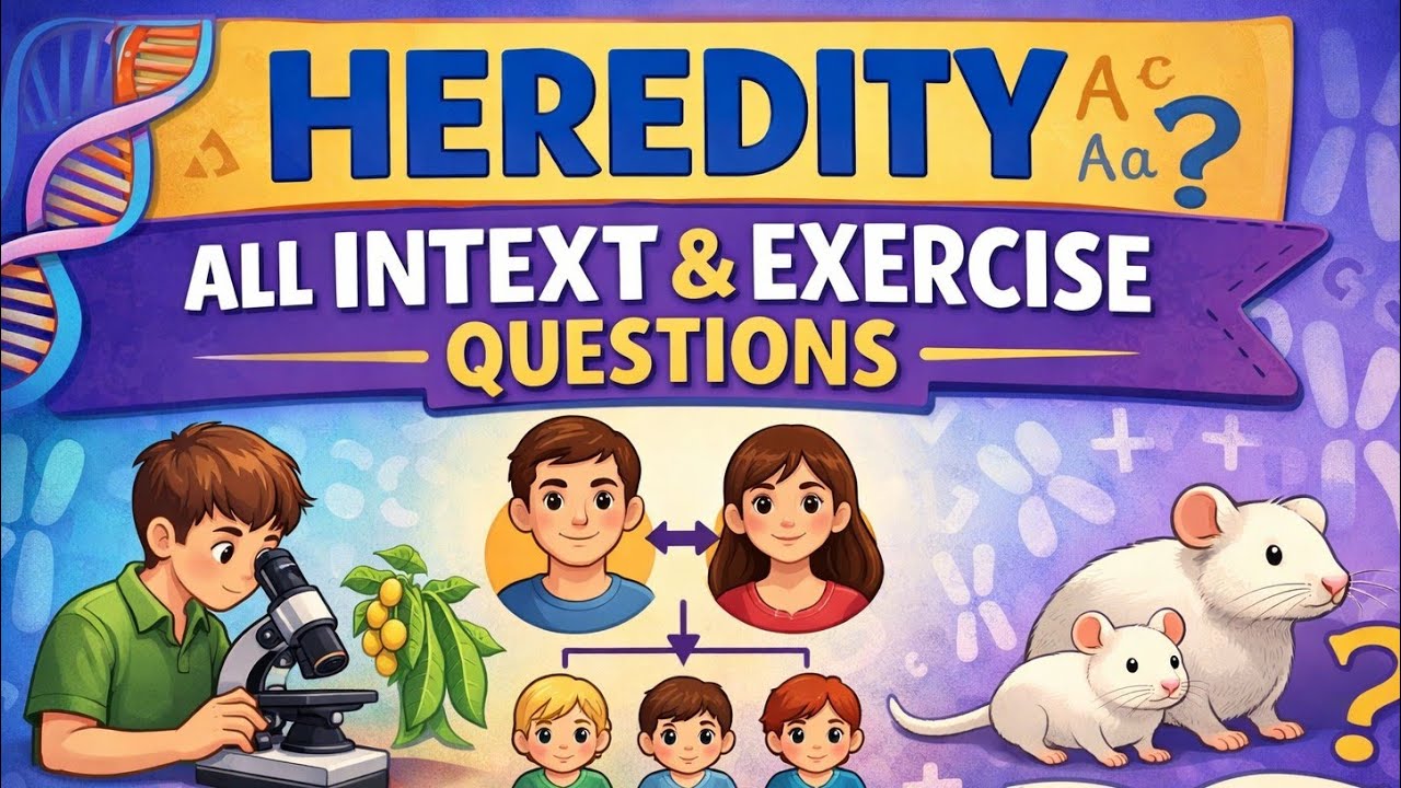 Heredity chapter Intex plus exercise question  class 10 CBSE biology