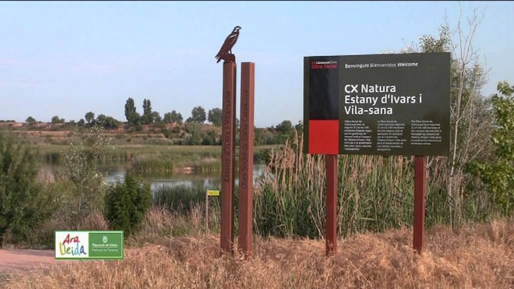 El Pla d'Urgell | Ara Lleida