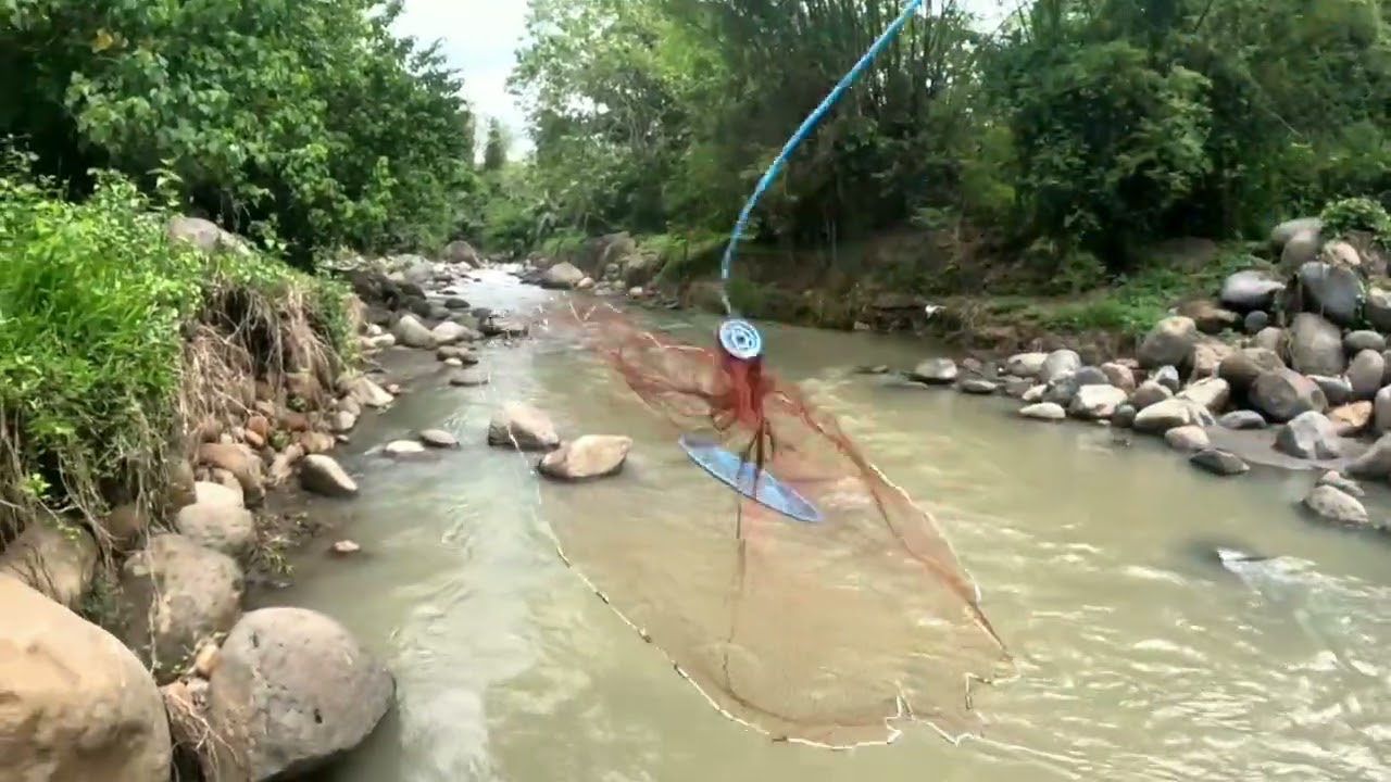 CATCH FISHING IN THE PROVINCE,