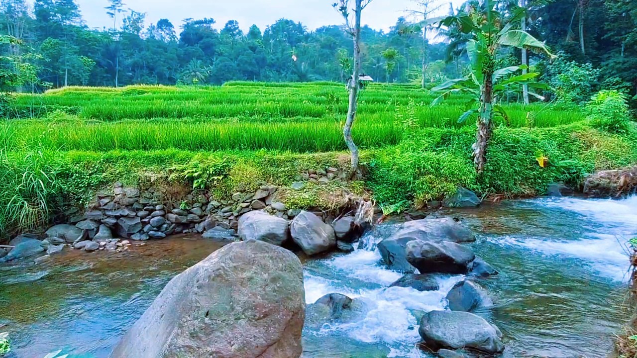 River Flow for Deep Relaxation
